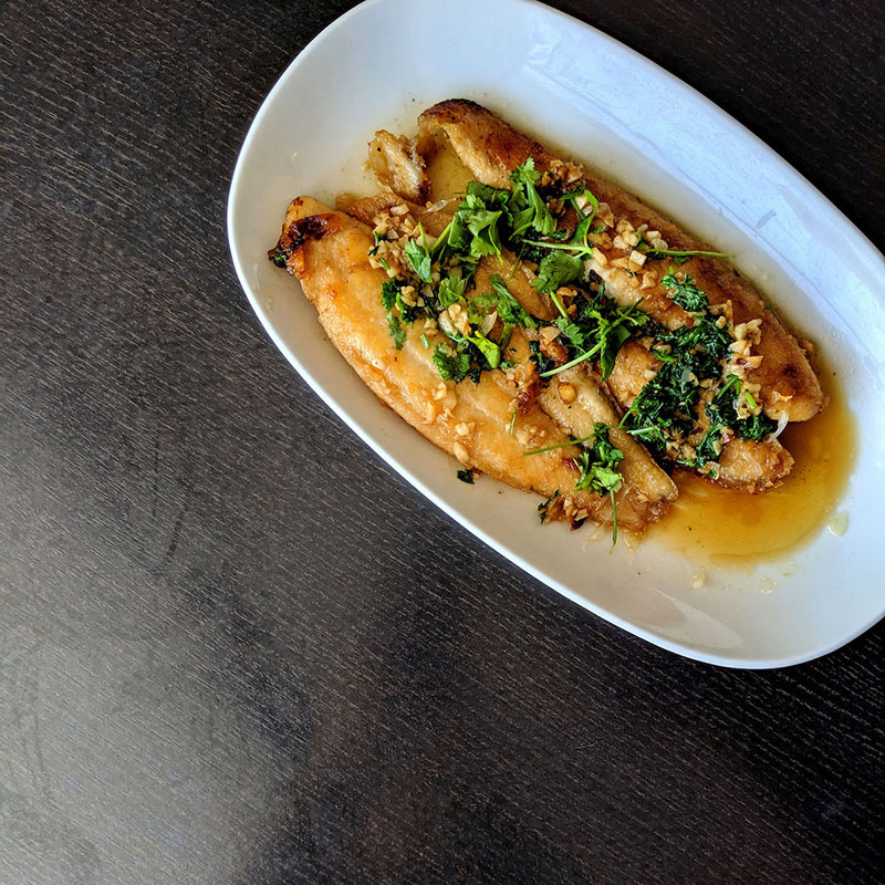 Trung's Restaurant basa fillet fish specialty in garlic coriander sauce